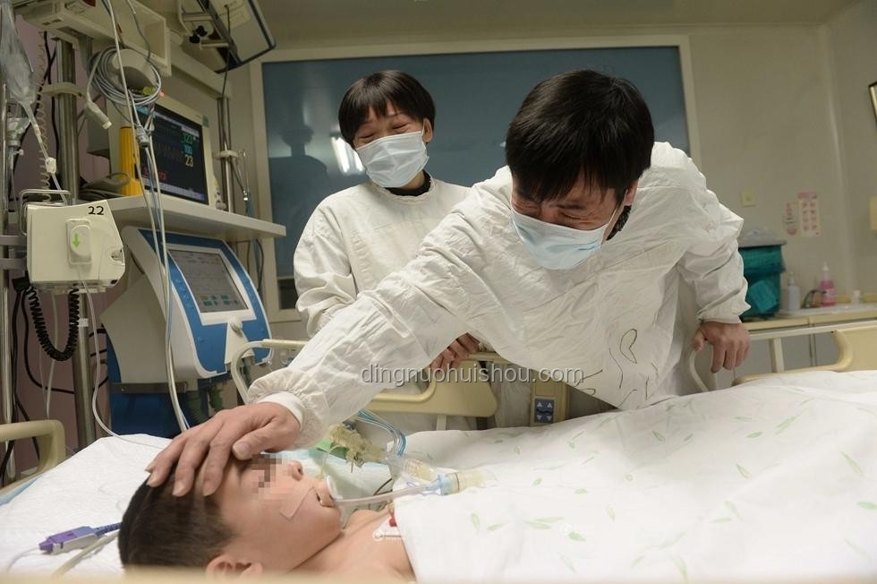 朱媛媛捐赠眼角膜及遗产传闻的澄清与应对方案